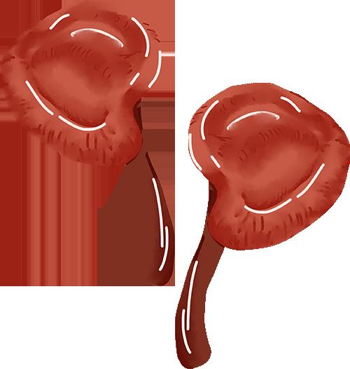 DƬ